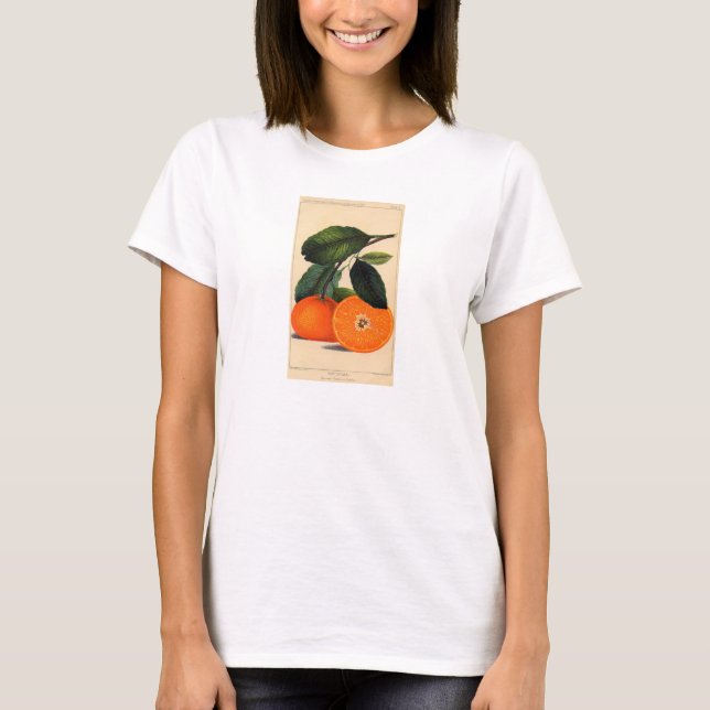 Botanischer Druck - Satsuma T-Shirt (Vorderseite)
