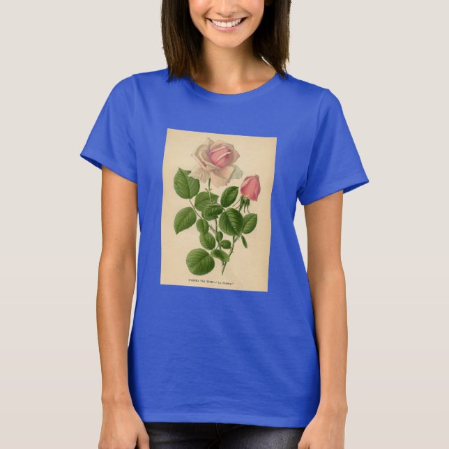 Botanischer Druck - Tee-Rose T-Shirt (Vorderseite)