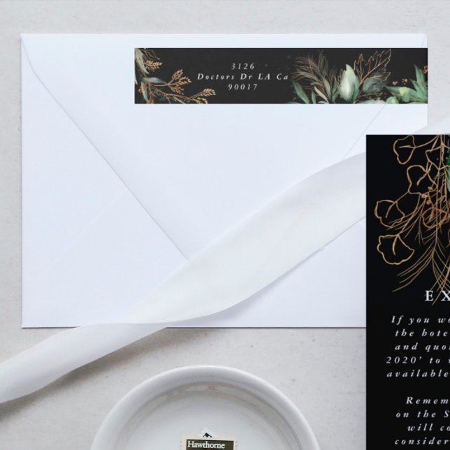 Botanischer Eukalyptus Rodelblüte Elegante Vegetat (Von Creator hochgeladen)