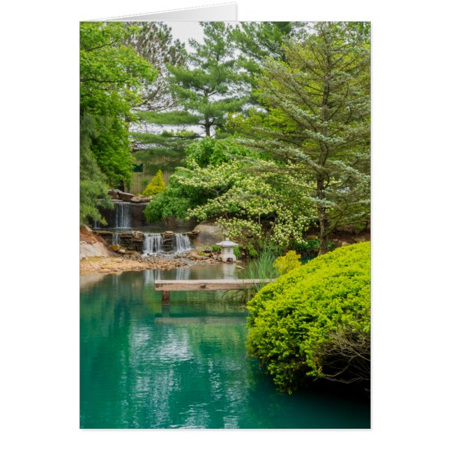 Botanischer Frühling (Vorne)