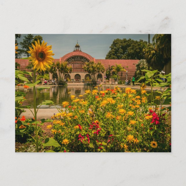 Botanischer Garten Balboa Park Postkarte (Vorderseite)