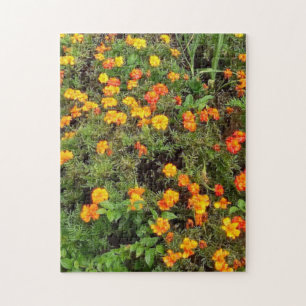 Botanischer Garten Blume Puzzle