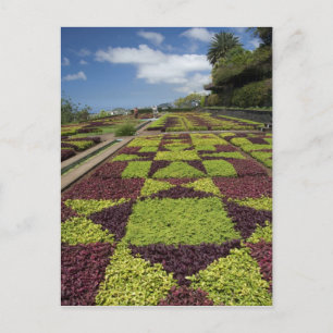 Botanischer Garten, Funchal, Madeira, Postkarte