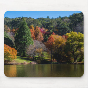 Botanischer Garten Herbst - farbenfrohe Bäume Mousepad