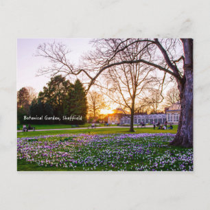 Botanischer Garten in Sheffield Postkarte