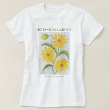 Botanischer Garten Maximilian Sonnenblume