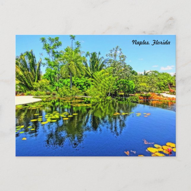 Botanischer Garten Neapel Florida - Überlaufpool Postkarte (Vorderseite)