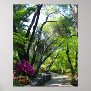 Botanischer Garten, Pfad, Ahornbäume Poster
