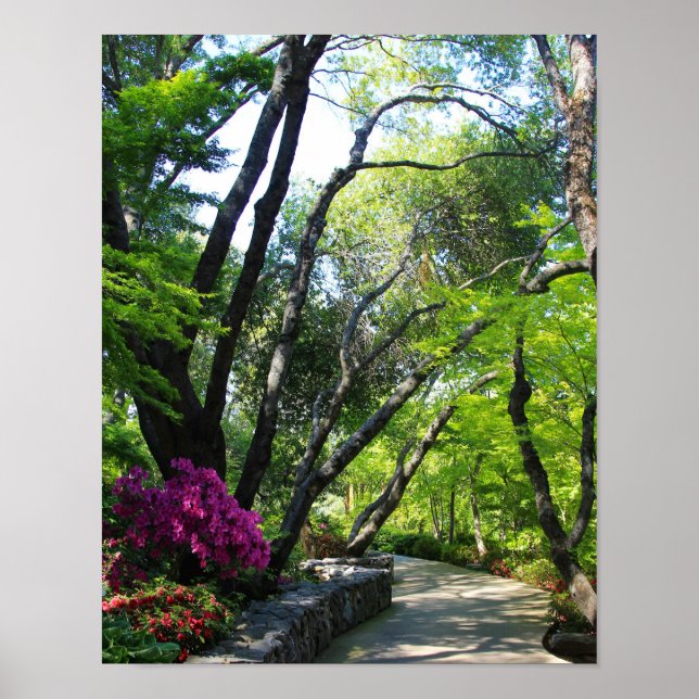 Botanischer Garten, Pfad, Ahornbäume Poster (Vorne)