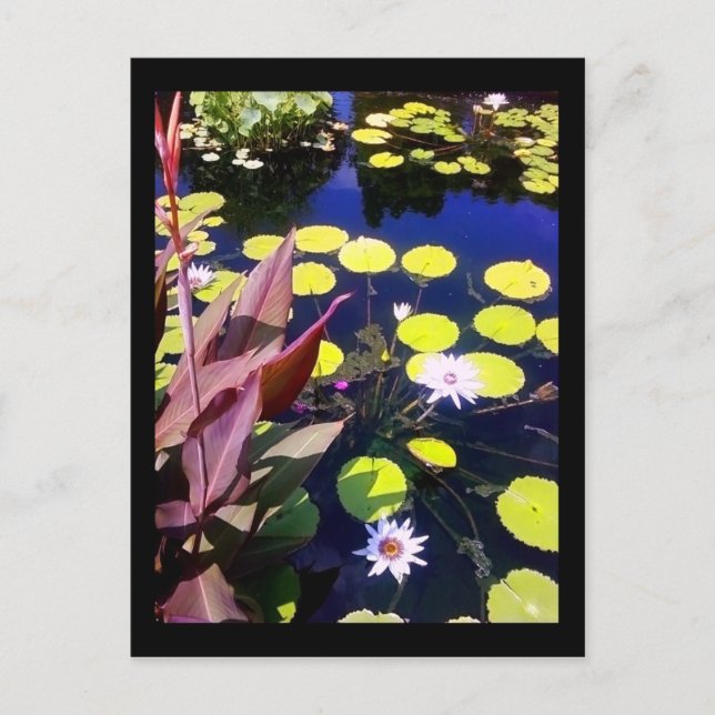 Botanischer Garten Postkarte (Vorderseite)