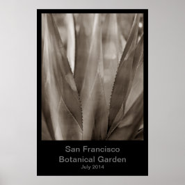 Botanischer Garten San Francisco #1 Poster