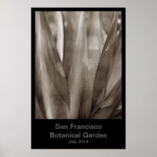 Botanischer Garten San Francisco #1 Poster