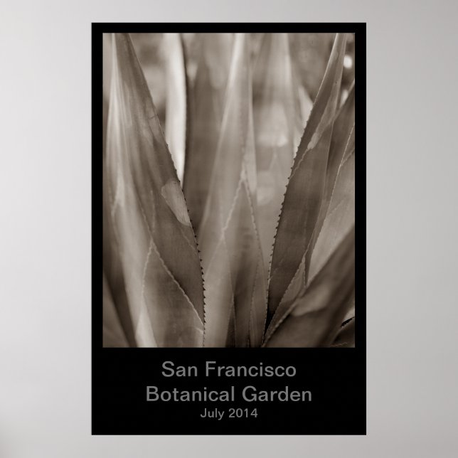 Botanischer Garten San Francisco #1 Poster (Vorne)