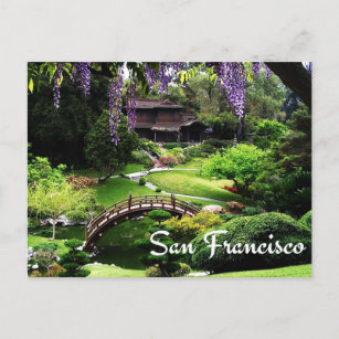 Botanischer Garten, San Francisco Kalifornien, USA Postkarte