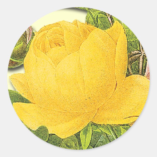 Botanischer Gelbrosenaufkleber Runder Aufkleber (Vorderseite)
