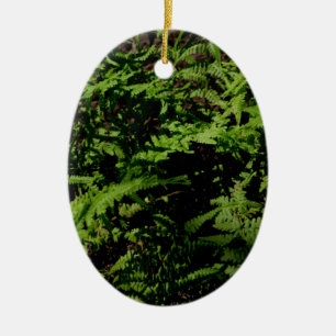Botanischer grüner Waldboden Ferns Keramik Ornament