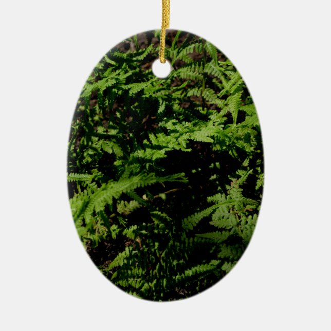 Botanischer grüner Waldboden Ferns Keramik Ornament (Vorne)