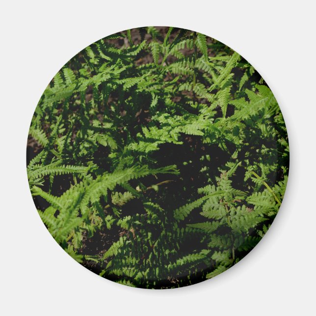 Botanischer grüner Waldboden Ferns Magnet (Vorne)