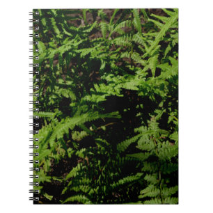 Botanischer grüner Waldboden Ferns Notizblock