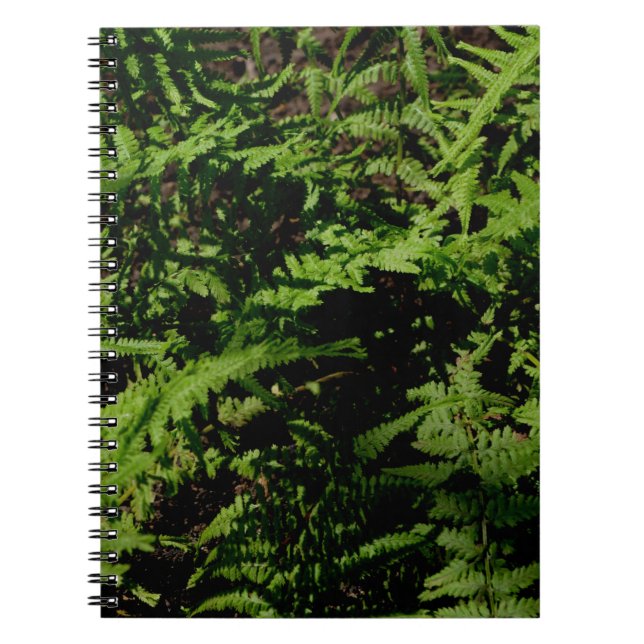 Botanischer grüner Waldboden Ferns Notizblock (Vorderseite)