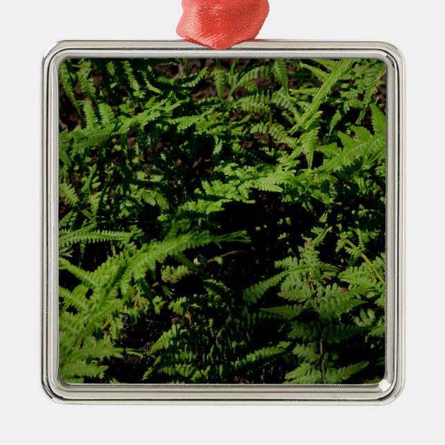 Botanischer grüner Waldboden Ferns Ornament Aus Metall (Vorne)