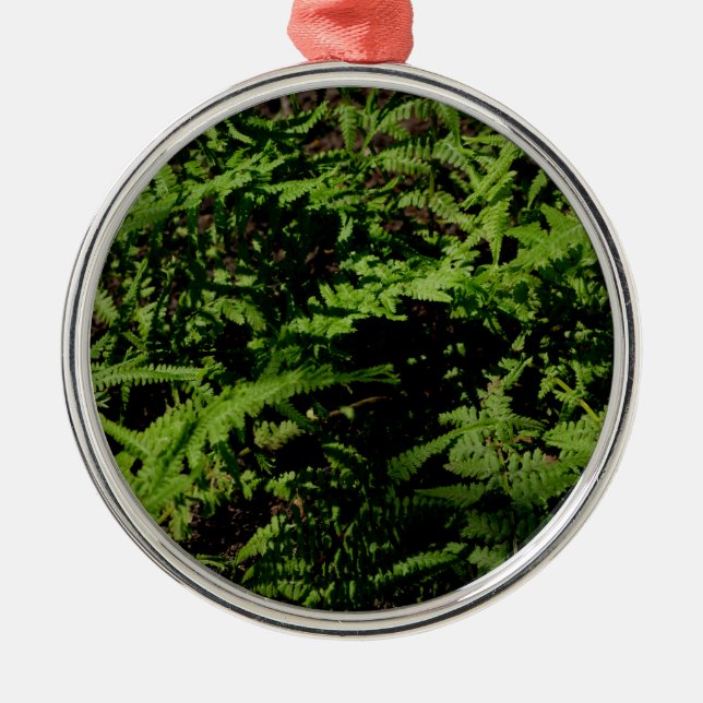 Botanischer grüner Waldboden Ferns Silbernes Ornament (Vorne)