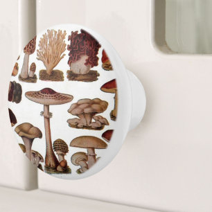 Botanischer Holzdruck Vintager Pilz Keramikknauf