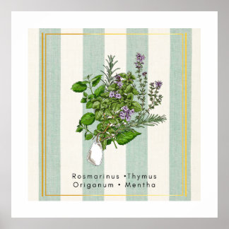 Botanischer Kräutergarten-Mix - Salbei Küchenkunst Poster