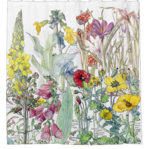 Botanischer Krokus-Fingerhut-Blumen-Duschvorhang Duschvorhang