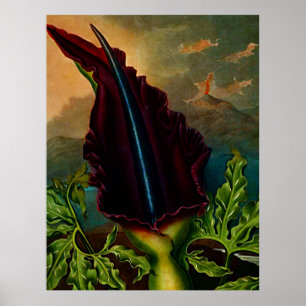 Botanischer Kunsttempel Pflanze des Drachen Poster