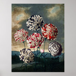 Botanischer Kunsttempel Poster