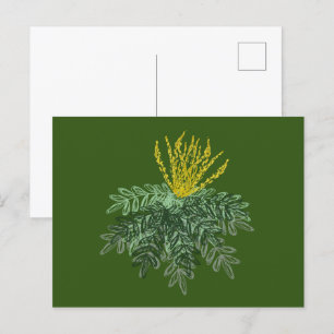 Botanischer Mahonia-Strauch Handgezeichnet Grün Postkarte