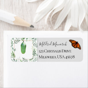 Botanischer Monarch Butterfly und Chrysalis