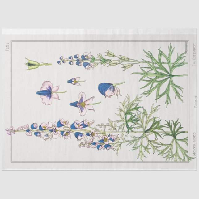 Botanischer Monkshood Seidenpapier (Vorderseite)
