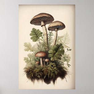 Botanischer Pilzdruck, Moosfarn, Vintage Poster