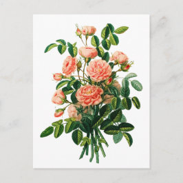 Botanischer Pink Peony Bokeh Postkarte