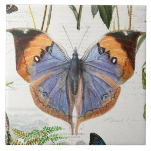 Botanischer Schmetterling Blumen Garten Floral Vin Fliese