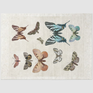 Botanischer Schmetterling Vintager Blaupfirsichtsc Seidenpapier