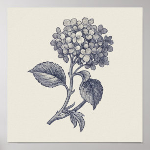Botanischer Toile-Stoff Hortensien-Vignette Poster