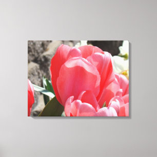 Botanischer Tulip Garden Pink Blume Canvas Prints Leinwanddruck