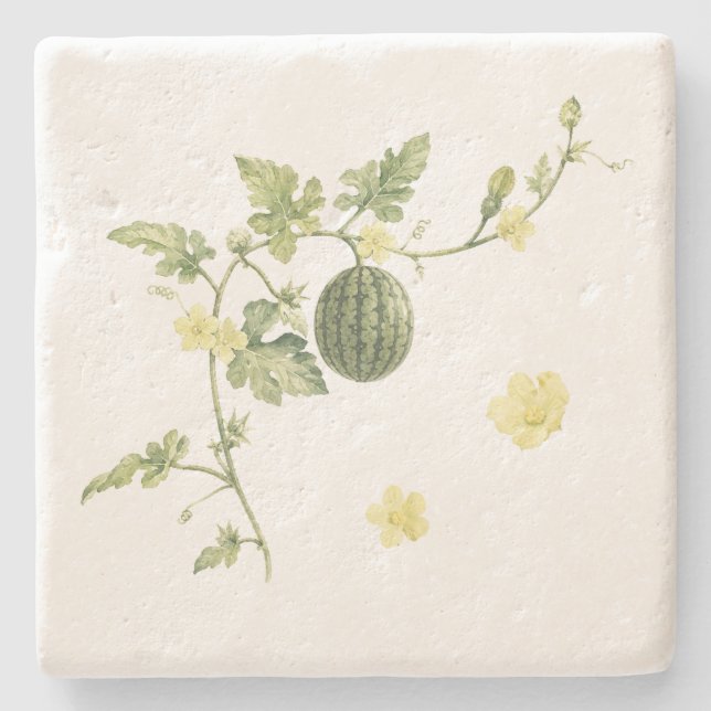 Botanischer Wassermelonenranke Steinuntersetzer (Vorderseite)