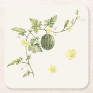 Botanischer Wassermelonenranken-Papiersetzer Rechteckiger Pappuntersetzer