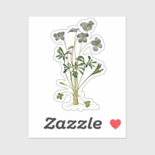 Botanischer Zeichn der Violett-Blume - Vintag Aufkleber