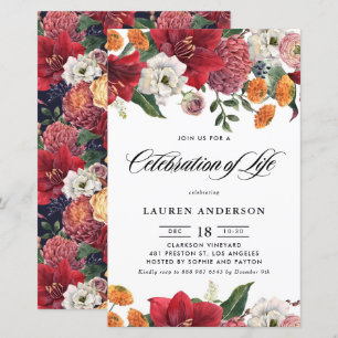 Botanisches Amaryllis und Mums-Feier des Lebens