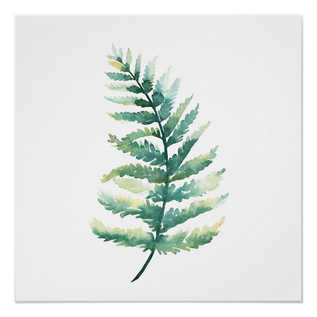 Botanisches Aquarell-Poster an der Fern Frontseite Poster (Vorderseite)