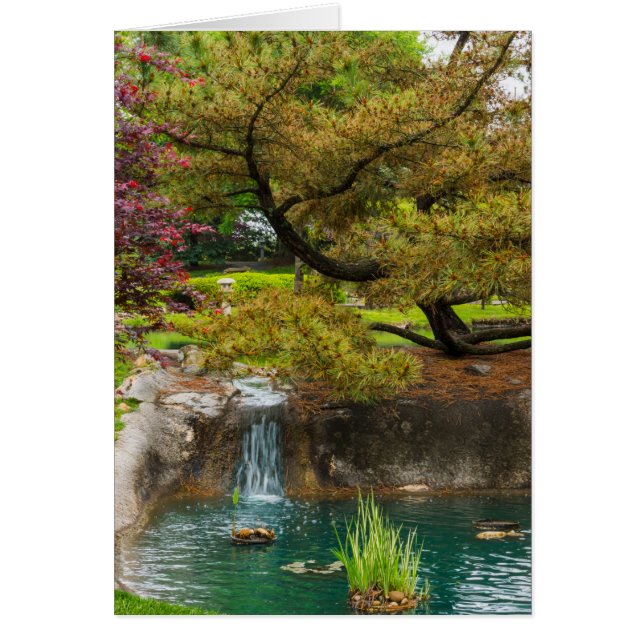 Botanisches Bliss (Vorne)