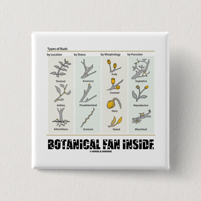 Botanisches Fan-Innere (Arten der Knospen) Button (Vorderseite)