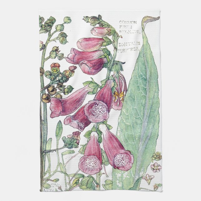Botanisches Fingerhut-Wildblume-Blumen-Küchen-Tuch Geschirrtuch (Vertikal)