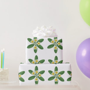 Botanisches Frangipani-Stickereidesign Geschenkpapier