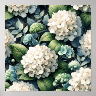 Botanisches Gemälde mit weißem Hydrangea Poster